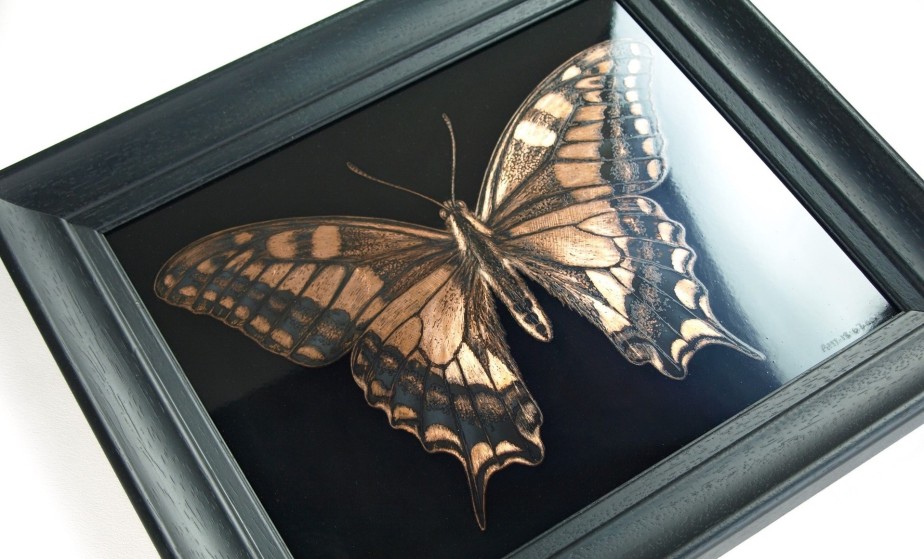 Swallowtail butterfly commission. A case study.